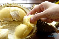 Impor Buah Dilarang, Awas Harga Durian Bakal Melejit
