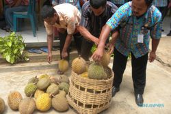Produksi Durian Karanganyar Capai 22.000 Ton