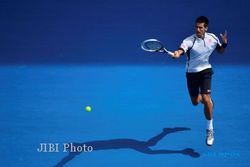 AUSTRALIA OPEN 2013: Djokovic Kerja Keras Singkirkan Stepanek