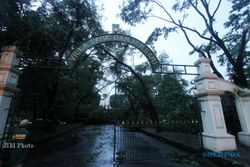 ANGIN KENCANG SOLO: DKP Catat 30 Pohon Tumbang di Monumen Banjarsari