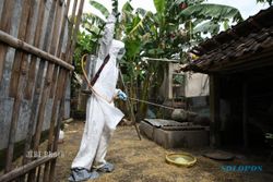 FLU BURUNG WONOGIRI : Diduga Suspect Flu Burung, Seorang Anak Balita Dirawat di RS