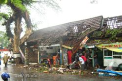 ANGIN KENCANG NGAWI : 3 Rumah Warga Ngawi Rusak Tertimpa Pohon