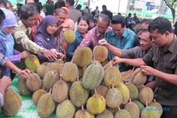   Pesta Dibuka, Durian Diserbu..