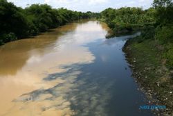 PENCEMARAN : Sungai Bedog Masih Berbau