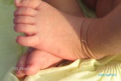 BAYI PENDEK : Kelahiran Bayi Pendek di Jogja Meningkat