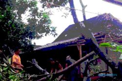 ANGIN RIBUT: 3 Rumah di Kemalang Tertimpa Pohon Roboh