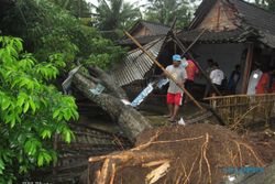 HUJAN ES BOYOLALI: Pepohonan Tumbang, Rumah Warga Rusak