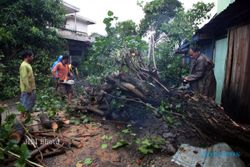 ANGIN KENCANG WONOGIRI : Diterpa Hujan dan Angin Kencang, Pohon Jati Timpa Rumah