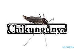 CHIKUNGUNYA: Puluhan Warga Ngadirejo, Sukoharjo Derita Chikungunya