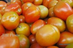 Cegah Diabetes dan Kolesterol Tinggi dengan Tomat
