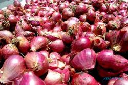 OPERASI PASAR : 500 Kg Bawang Merah dan Bawang Putih Dijual Murah di Madiun