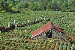 WISATA BANJARNEGARA : Pemkab Dorong Masyarakat Bangun Desa Wisata