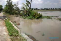 BANJIR DI CILACAP : 11 Desa di Cilacap Tergenang Banjir setelah Hujan