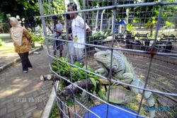 MoU Tunggu Pengesahan, Tiket Masuk Taman Reptil Diusulkan Rp5.000 