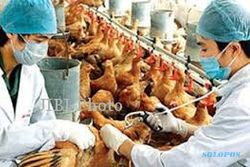 FLU UNGGAS : China Laporkan 5 Orang Positif H7N9