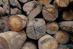ILLEGAL LOGGING WONOGIRI : Polisi Tangkap 3 Pelaku Illegal Logging