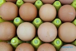 Harga Telur di Kulonprogo Naik, Rp18.500 Per Kilogram