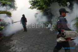 SEPUTAR JOGJA : Takut Chikungunya, Warga Purbayan Menanti Fogging