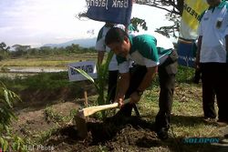   PENANAMAN BIBIT POHON KELAPA