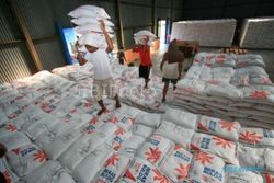 Bulog Targetkan Serap Gabah 25.000 Ton di Sukoharjo