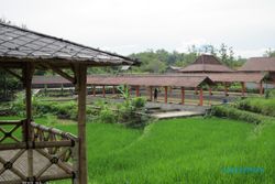  AGROWISATA JATIBEDUG