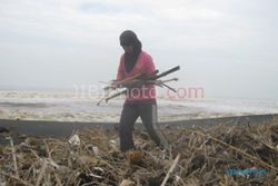 Pantai Trisik Penuh Sampah, Ombak Tak Lagi Biru