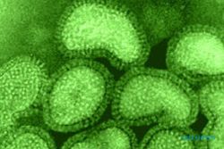 30 Warga Sukoharjo Terserang Virus Viral Infection, Bikin Ngilu Persendian!