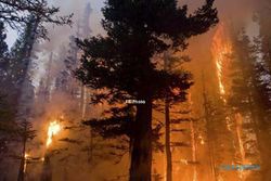 KEBAKARAN MERBABU : Lereng Merbabu Terbakar, Api Mulai Mengarah ke Boyolali