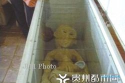 Wow, Pria China Mengaku Simpan Alien di Kulkas