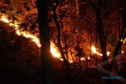 KEBAKARAN WONOGIRI : 181,2 Ha Hutan di Wonogiri Terbakar, Mayoritas Dipicu Ulah Manusia