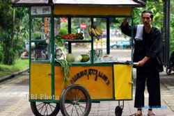 JOKOWI CAPRES : Pengamat Politik Sarankan Jokowi Didampingi Ahli Ekonomi