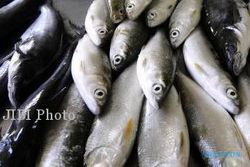  Pasar Ikan Balekambang Gelar Bazar Ikan Murah 
