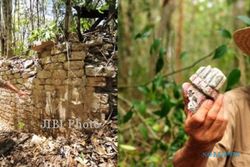 Arkeolog Slovenia Temukan Kota Kuno Maya