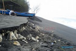 Lokasi Penangkaran Penyu di Pantai Trisik Kulonprogo Terancam Abrasi
