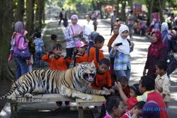 MANFAATKAN LIBURAN SEKOLAH