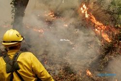 KEBAKARAN HUTAN : Kemenhut Gandeng BIN Usut Pelaku Utama Pembakaran Hutan