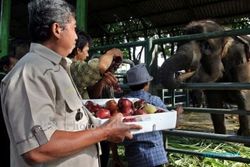 76 Satwa KBS Dikirim Malam ke Banyuwangi