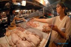 HARGA KEBUTUHAN : Jelang Ramadan, Harga Daging Ayam Potong Meroket 