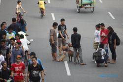 CFD SOLO : Dishubkominfo Dukung Komunitas Anjing Tetap di Car Free Day
