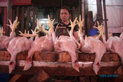 HARGA KEBUTUHAN POKOK : Harga Daging Ayam di Bojonegoro Turun Jadi Rp25.000/kg