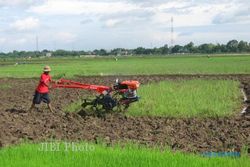 KABINET KERJA JOKOWI-JK : Traktor Pemberian Jokowi Hanya Simbolis! Begini Penjelasan Dinas Pertanian