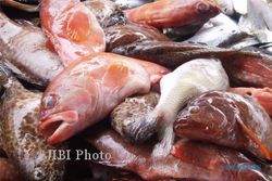 Ikan Berformalin Masih Beredar di Pasar