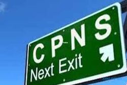 LOWONGAN CPNS 2014 : Sulit Buka Situs Panselnas CPNS? Ini Alternatifnya