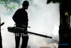 WABAH DEMAM BERDARAH : 2 Ajudan Kena DBD, Rumdin Jokowi di Fogging