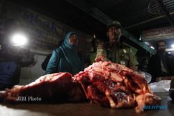 DAGING GLONGGONGAN :  Jelang Lebaran 2014, Daging Glonggongan Beredar