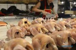 HARGA KEBUTUHAN POKOK : Daging Ayam Potong Naik Jadi Rp32.000 Per Kg