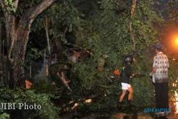 ANGIN KENCANG PONOROGO : Pohon Tumbang Hantam Pengendara Motor di Jl. Gajah Mada
