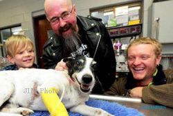 KISAH UNIK : Wow, Pria Ini Berhasil Beri Napas Buatan untuk Anjing!
