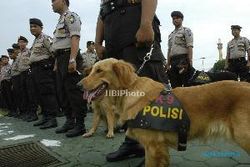 BOM SOLO : Cegah Aksi Terorisme, PT KAI Madiun Libatkan Anjing Pelacak