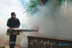  CHIKUNGUNYA : 36 Warga Boyolali Terserang Chikungunya